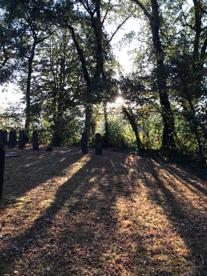 B&B Trefkerk Appelscha Eksteriør bilde