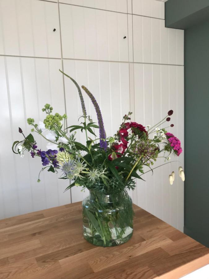 B&B Trefkerk Appelscha Eksteriør bilde